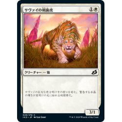 画像1: 【JPN】サヴァイの剣歯虎/Savai Sabertooth[MTG_IKO_029C]