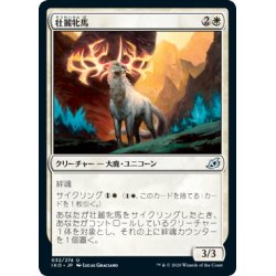 画像1: 【JPN】壮麗牝馬/Splendor Mare[MTG_IKO_032U]