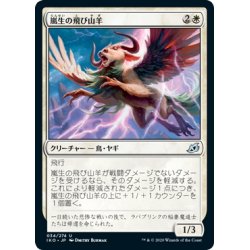 画像1: 【JPN】嵐生の飛び山羊/Stormwild Capridor[MTG_IKO_034U]