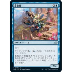 画像1: 【JPN】★Foil★奇異鳥/Avian Oddity[MTG_IKO_042U]