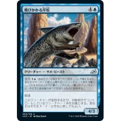 画像1: 【JPN】飛びかかる岸鮫/Pouncing Shoreshark[MTG_IKO_064U]