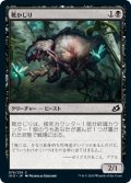 【JPN】靴かじり/Boot Nipper[MTG_IKO_076C]