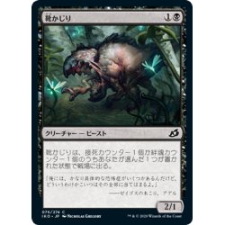 画像1: 【JPN】靴かじり/Boot Nipper[MTG_IKO_076C]