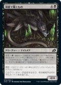 【JPN】洞窟で囁くもの/Cavern Whisperer[MTG_IKO_079C]