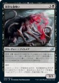 【JPN】強欲な血喰い/Insatiable Hemophage[MTG_IKO_093U]