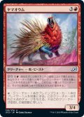 【JPN】ヤマオウム/Porcuparrot[MTG_IKO_128U]