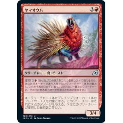 画像1: 【JPN】★Foil★ヤマオウム/Porcuparrot[MTG_IKO_128U]