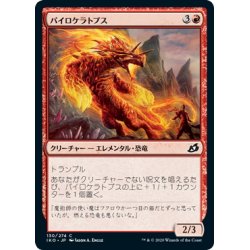 画像1: 【JPN】パイロケラトプス/Pyroceratops[MTG_IKO_130C]