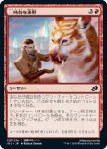 【JPN】一時的な連帯/Tentative Connection[MTG_IKO_138C]