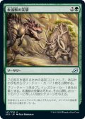 【JPN】永遠獣の突撃/Charge of the Forever-Beast[MTG_IKO_147U]