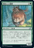 【JPN】溌剌とした狼熊/Exuberant Wolfbear[MTG_IKO_151U]