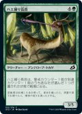 【JPN】ハエ捕り長首/Flycatcher Giraffid[MTG_IKO_153C]