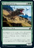 【JPN】大いなるサンドワーム/Greater Sandwurm[MTG_IKO_157C]