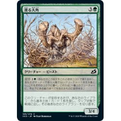 画像1: 【JPN】渡る大角/Migratory Greathorn[MTG_IKO_165C]