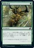 【JPN】突然の吐糸/Sudden Spinnerets[MTG_IKO_171C]