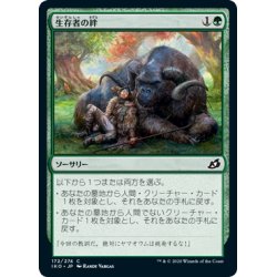 画像1: 【JPN】生存者の絆/Survivors' Bond[MTG_IKO_172C]