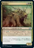 【JPN】骨塚潜み/Boneyard Lurker[MTG_IKO_178U]