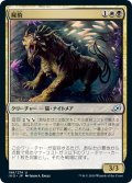 【JPN】屍豹/Necropanther[MTG_IKO_196U]