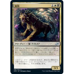 画像1: 【JPN】★Foil★屍豹/Necropanther[MTG_IKO_196U]