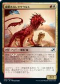 【JPN】威厳あるレオサウルス/Regal Leosaur[MTG_IKO_202U]