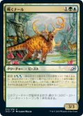 【JPN】嘶くナール/Trumpeting Gnarr[MTG_IKO_213U]