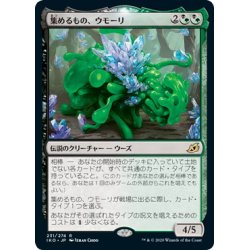 画像1: 【JPN】★Foil★集めるもの、ウモーリ/Umori, the Collector[MTG_IKO_231R]