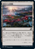 【JPN】★Foil★進化する未開地/Evolving Wilds[MTG_IKO_247C]