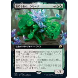 画像1: 【JPN】集めるもの、ウモーリ/Umori, the Collector[MTG_IKO_358R]