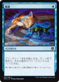 【JPN】縮退/Diminish[MTG_IMA_050C]