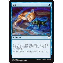 画像1: 【JPN】縮退/Diminish[MTG_IMA_050C]