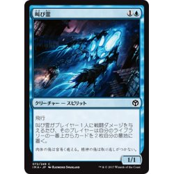 画像1: 【JPN】叫び霊/Shriekgeist[MTG_IMA_072C]