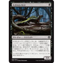 画像1: 【JPN】ただれたイモリ/Festering Newt[MTG_IMA_090C]