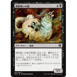 画像1: 【JPN】腐敗喰いの蛆/Rotfeaster Maggot[MTG_IMA_105C]