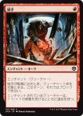 【JPN】槌手/Hammerhand[MTG_IMA_132C]