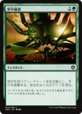 【JPN】空中捕食/Aerial Predation[MTG_IMA_154C]