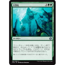 画像1: 【JPN】大型化/Enlarge[MTG_IMA_162U]