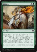 【JPN】弱者狩り/Hunt the Weak[MTG_IMA_167C]