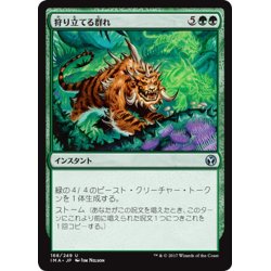 画像1: 【JPN】狩り立てる群れ/Hunting Pack[MTG_IMA_168U]