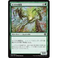 【JPN】キヅタの精霊/Ivy Elemental[MTG_IMA_170C]