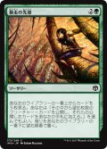 【JPN】暴走の先導/Lead the Stampede[MTG_IMA_173C]