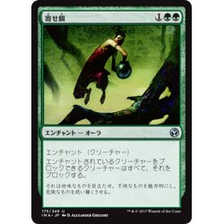 画像1: 【JPN】寄せ餌/Lure[MTG_IMA_175U]