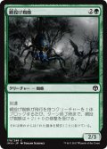 【JPN】網投げ蜘蛛/Netcaster Spider[MTG_IMA_178C]