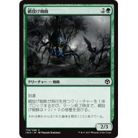 【JPN】網投げ蜘蛛/Netcaster Spider[MTG_IMA_178C]