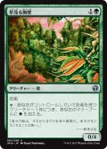 【JPN】草茂る胸壁/Overgrown Battlement[MTG_IMA_180U]