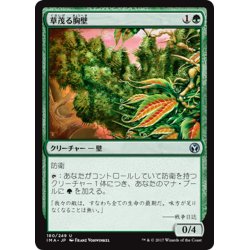 画像1: 【JPN】草茂る胸壁/Overgrown Battlement[MTG_IMA_180U]