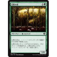 【JPN】幻影の虎/Phantom Tiger[MTG_IMA_181C]