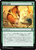 【JPN】餌食の復讐/Prey's Vengeance[MTG_IMA_182C]