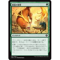 【JPN】餌食の復讐/Prey's Vengeance[MTG_IMA_182C]