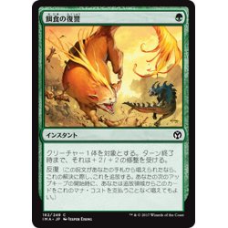 画像1: 【JPN】餌食の復讐/Prey's Vengeance[MTG_IMA_182C]