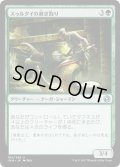 【JPN】スゥルタイの剥ぎ取り/Sultai Flayer[MTG_IMA_186U]